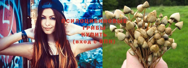 винт Наволоки