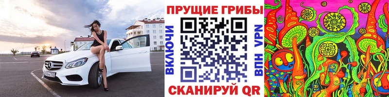 Галлюциногенные грибы мицелий Петрозаводск