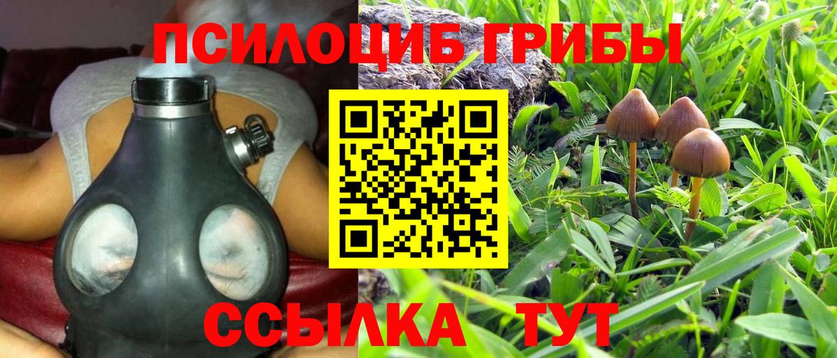 Петрозаводск  Галлюциногенные грибы Cubensis  Псилоцибиновые грибы мухоморы  Вход с VPN 