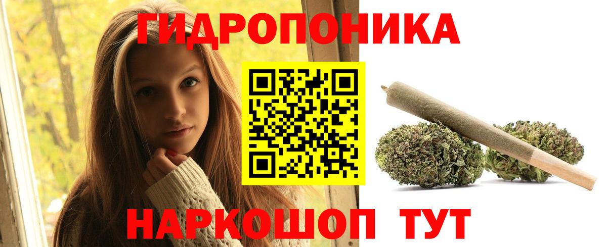 Бошки марихуана семена Петрозаводск